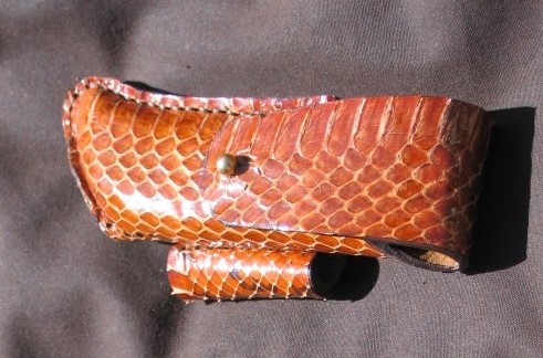 Etui pliant serpent d'eau