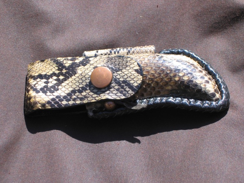 Etui pliant serpent